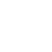 vitalx (1)